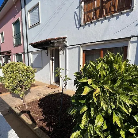 Moradia Xico'S House